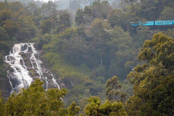 Sri Lanka 7 Days Sightseeing Tour-pakket