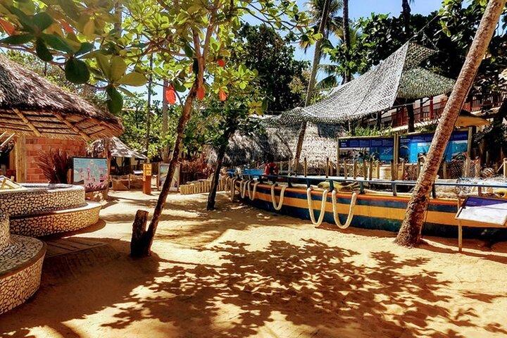 Private Transfer to Salvador Airport from Praia do Forte