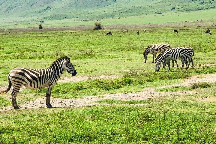 Tagesausflug zum Ngorongoro-Krater