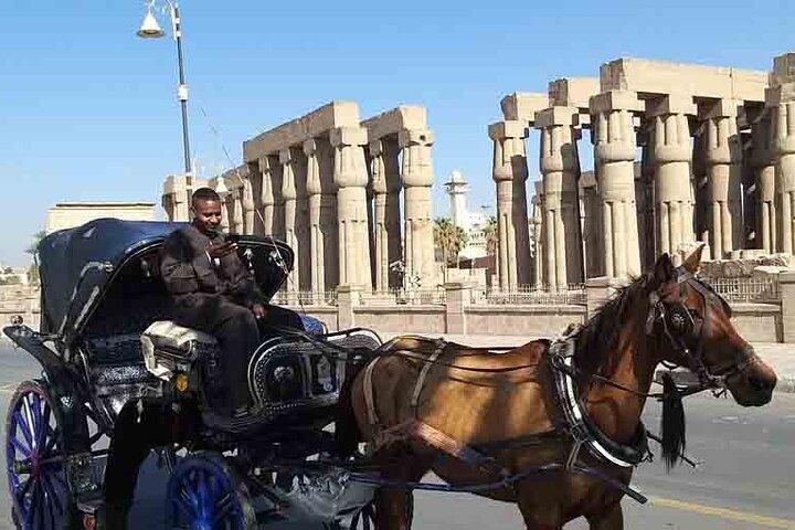 Stadtbesichtigung in Luxor mit Kutschenfahrt