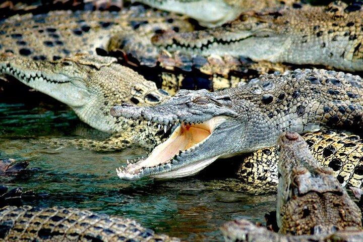 Half Day Round Island Sightseeing Tour in Langkawi