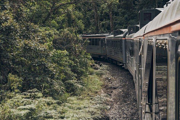 インカレールでボイジャーマチュピチュ電車