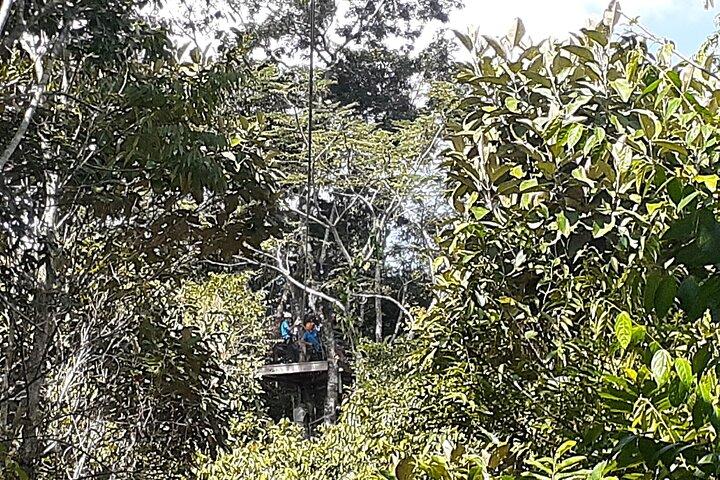 Höhlenkajak oder Schlauchboot, Ziplines und Altun Ha V.i.V.