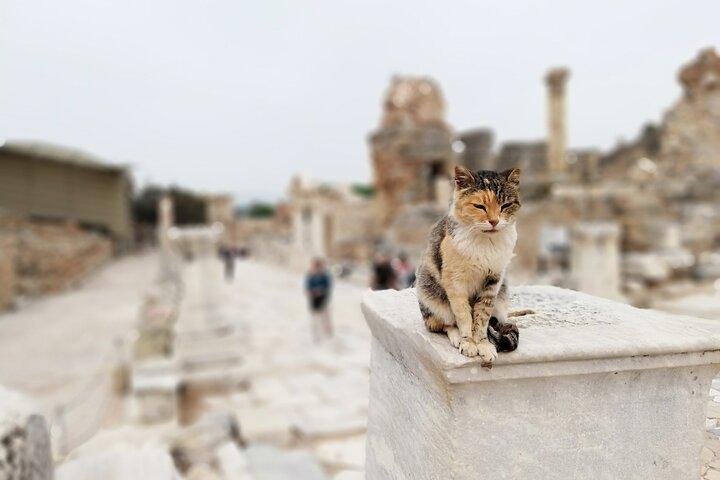 Turkey Taste 12 Days Istanbul-Cap-Ephesus-P. Kale-Bodrum Private