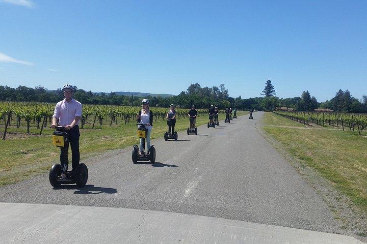 Sonoma County Wein Segway Tour