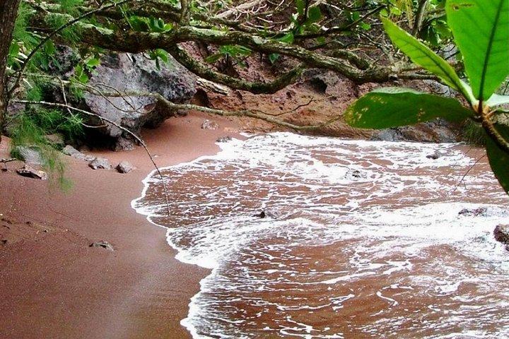 マウイ島：小グループロードからハナツアー6～8名