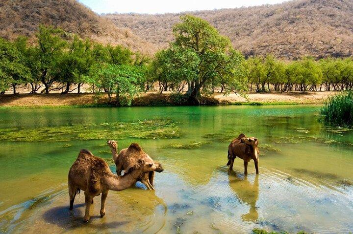 Combinación este y oeste de Salalah