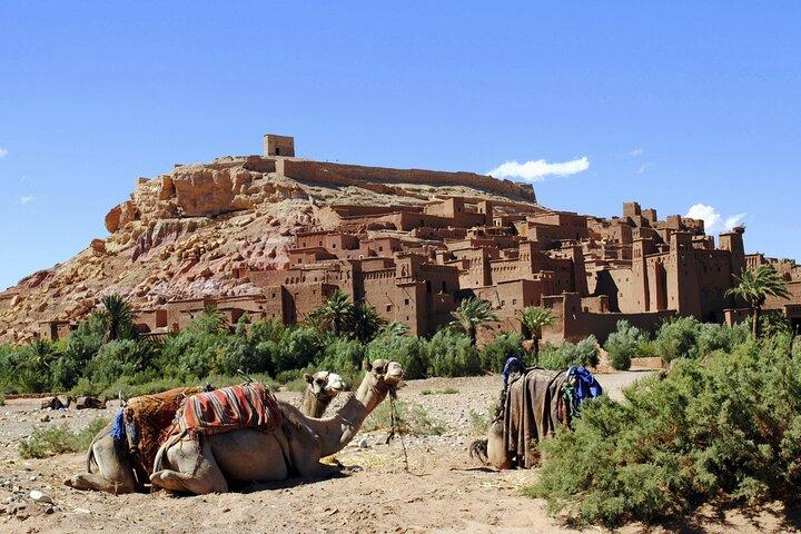 Ouarzazate Day Tour including Lunch from Marrakech
