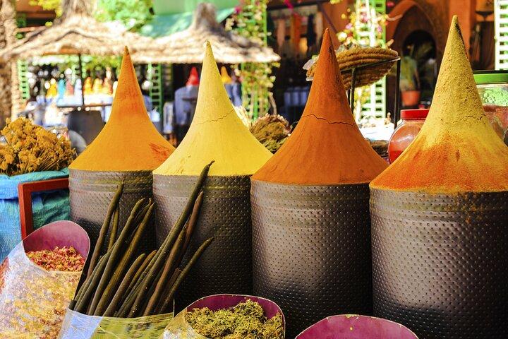 Marrakech Guided Day Trip from Casablanca: Djemaa el-Fna Square and Bahia Palace