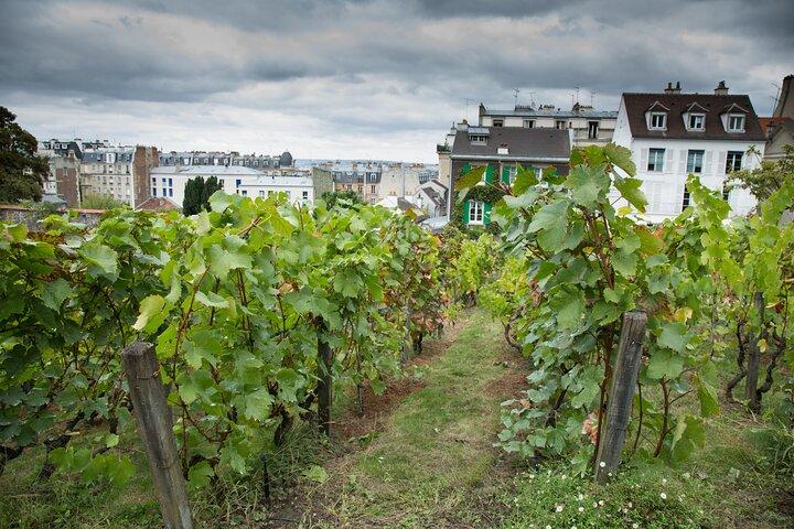 Paris Private Tagestour : Montmartre, Sehenswürdigkeiten & Eiffelturm