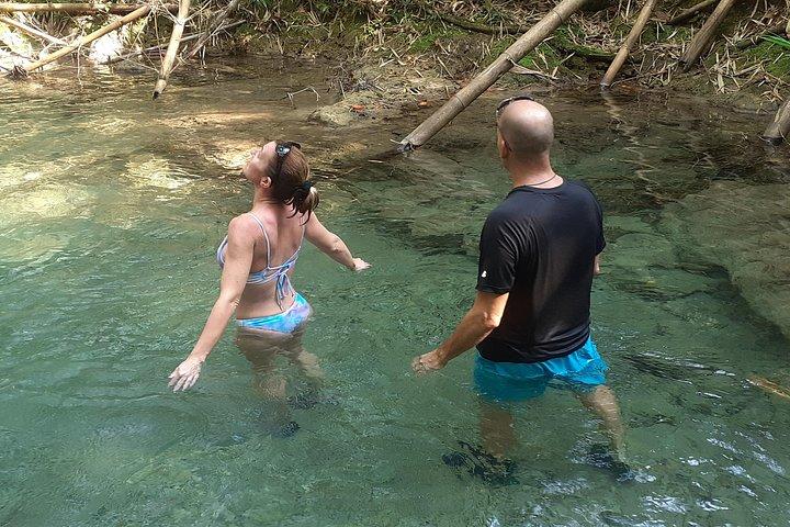 Mayfield Falls nature walk