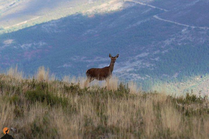 Discovering Nature in Serra da Lousã