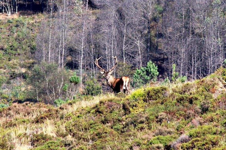 Discovering Nature in Serra da Lousã