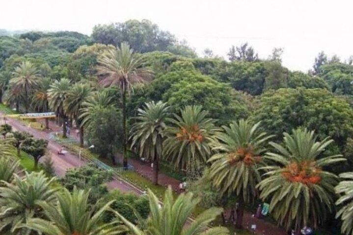 Excursões guiadas particulares ao mosteiro Bahir Dar Lake Tana e cachoeiras do Nilo Azul