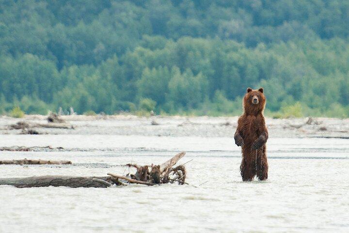 Privé-groep Eagle Preserve Float Trip in Haines