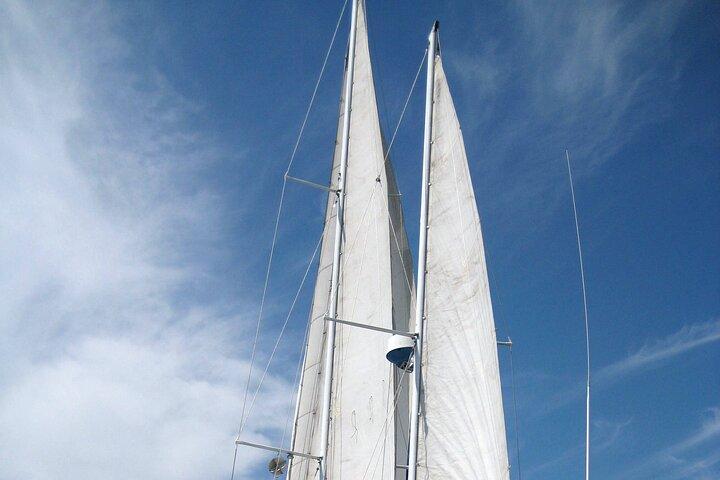 Excursão privada de vela matinal e snorkel