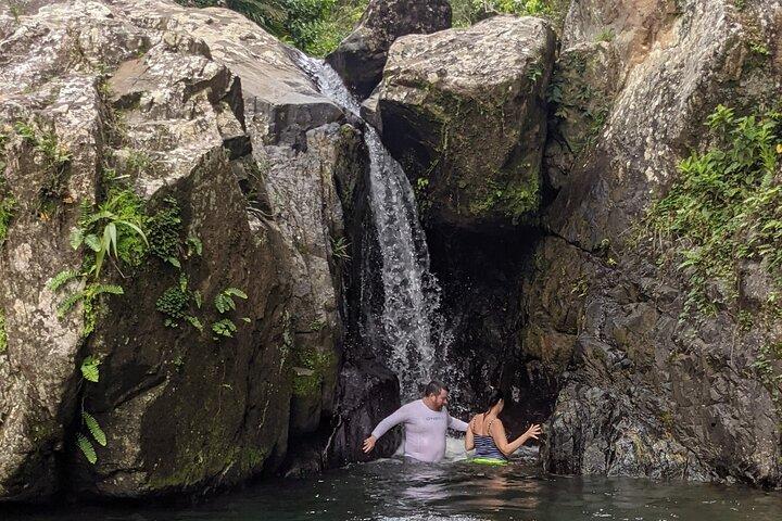Excursão pela zona rural de Porto Rico com visita à cachoeira