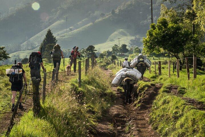 Dia inteiro escalando Cocora Valley com almoço