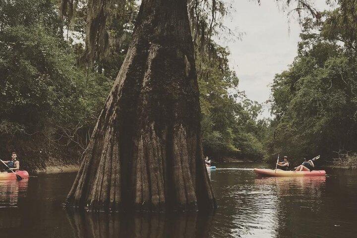 Whitney Plantation und Manchac Swamp Kajak Tour Combo