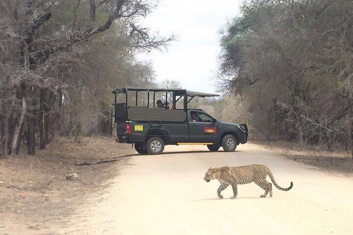 Drive Game di Kruger National Park per l'intera giornata