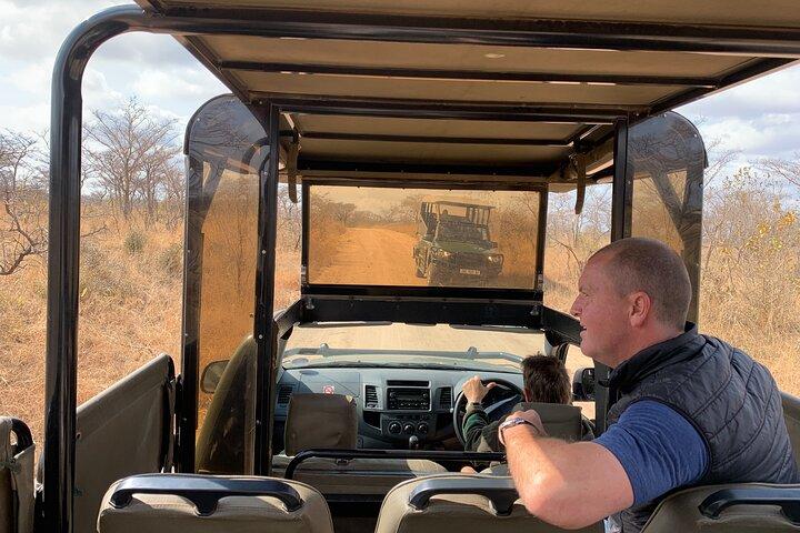 Drive Game di Kruger National Park per l'intera giornata