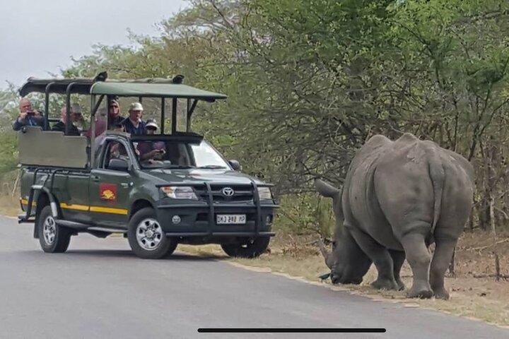 Drive Game di Kruger National Park per l'intera giornata