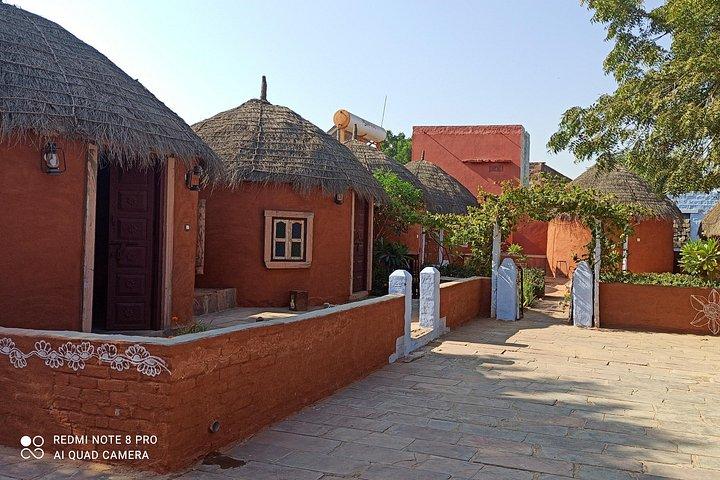 Bishnoi village safari