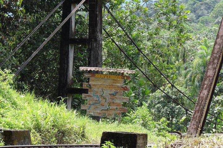 Tour San Cipriano Privado