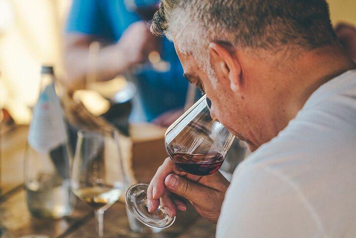 Privé Langhe en Barolo-wijntour vanuit Milaan