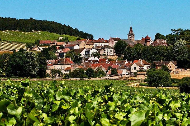 Chablis 20 Exquisite Wines Tasting Trip in Small-Group from Paris