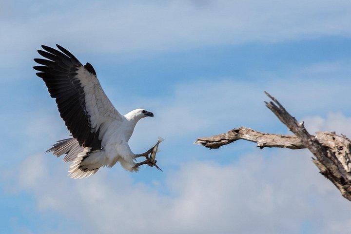 Corroboree Billabong 2.5 hour Lunch Cruise