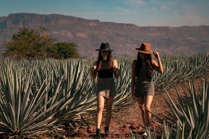 Experiência Vip Tequila