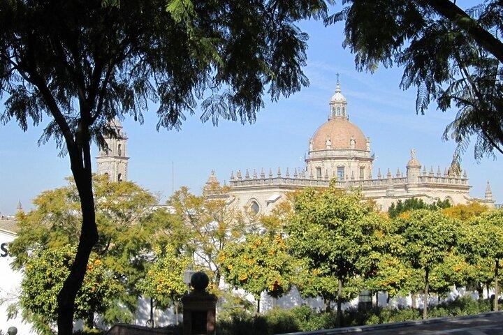 Jerez Historic Guided Tour e Alcazar