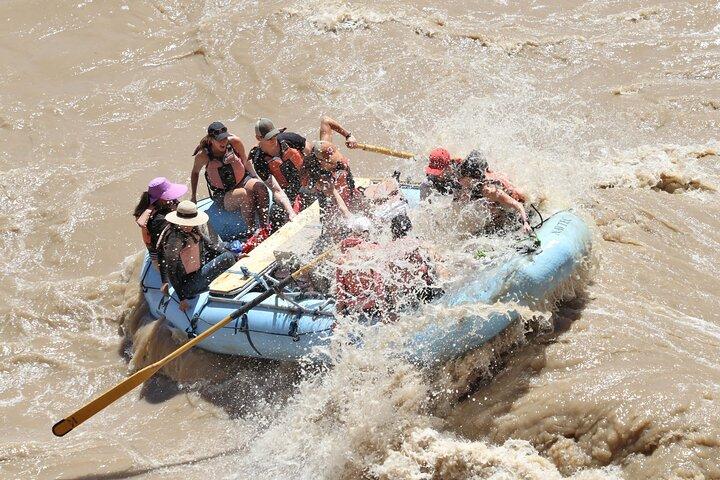 Moab fuld dag Rafting: Colorado River eventyr