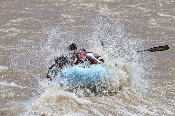 Moab fuld dag Rafting: Colorado River eventyr
