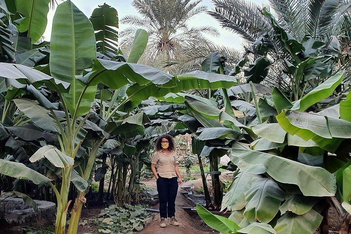 Reise ins Herz der Emirate