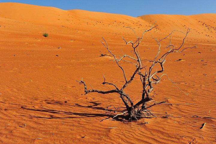 Camping Tour 3 Days, Oman Tours Package