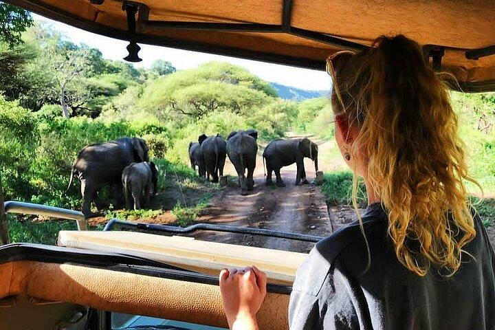 8-daagse privésafari-tour door Tanzania met ophaalservice vanaf de luchthaven