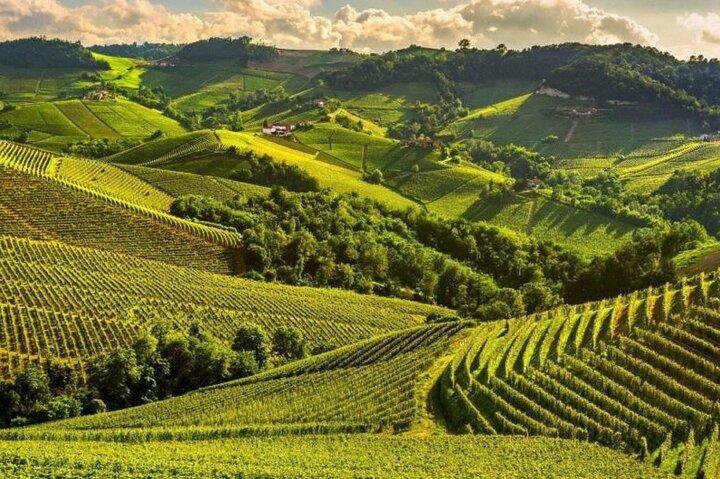 Eendaagse privétour door Alba City of Wine and Truffels