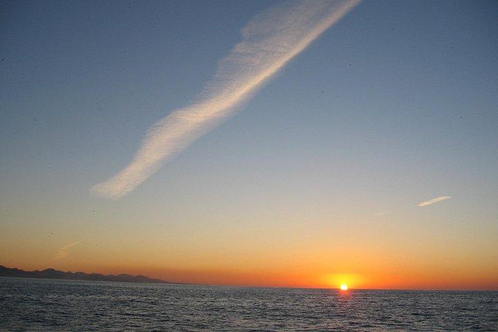 Flounder Yacht Sailing Tours