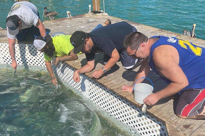 コンバーチブル バスによるキー ラーゴとイスラモラダのプライベート ツアー