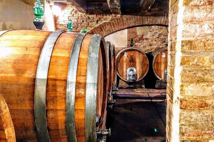 Montalcino: Brunello vinsmagning og frokost i et toscansk slot