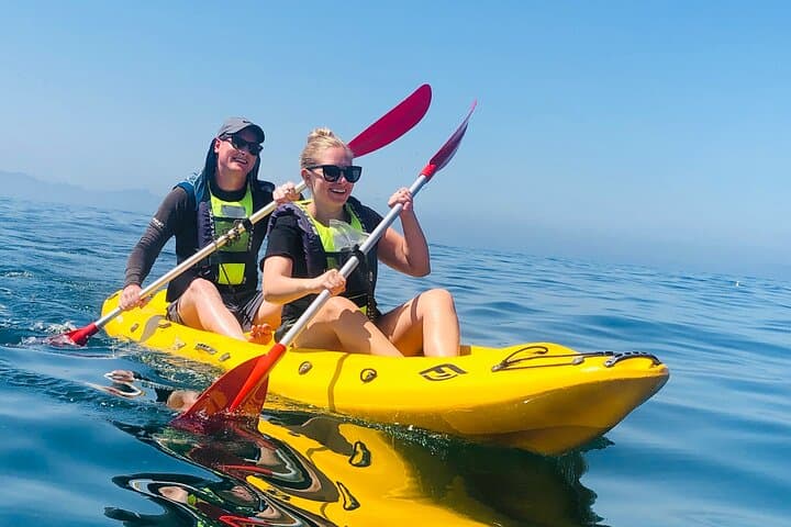 Paddle with the Penguins