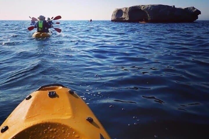 Paddle with the Penguins