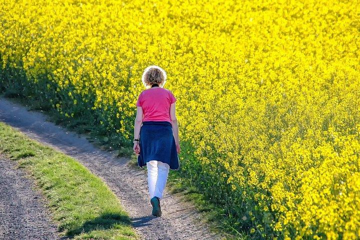 デリーのアムリトサルへの週末旅行：ゴールデンテンプル、ヘリテージウォークなど！