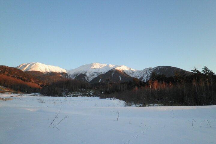 Frosne faldture
