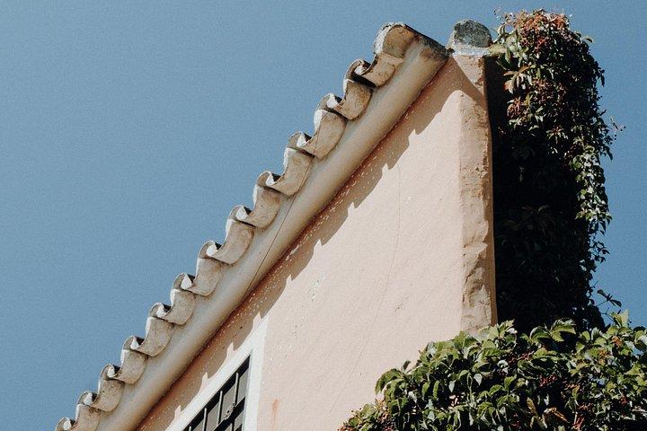 Marbella Private Walking Tour with a Local