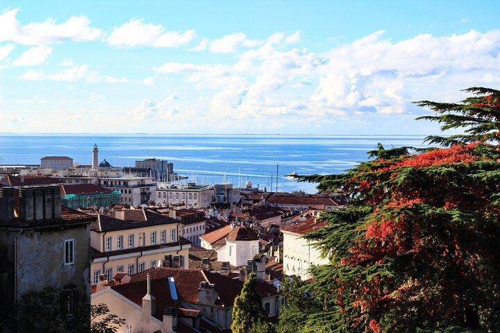 Tour privato a piedi di Trieste con un locale