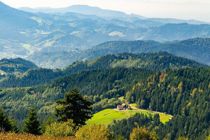 Dagtrip naar Duitsland met Baden-Baden en Zwarte Woud vanuit Straatsburg