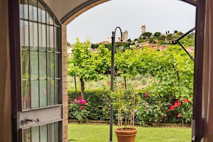 Private Wine and Extra Virgin Olive Oil Tasting